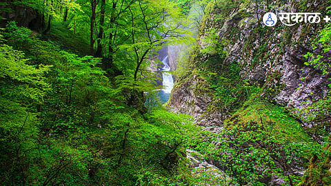 Biodiversity in Focus: Why Biosphere Reserves Matter in India