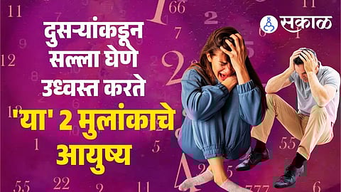 Numerology career prediction