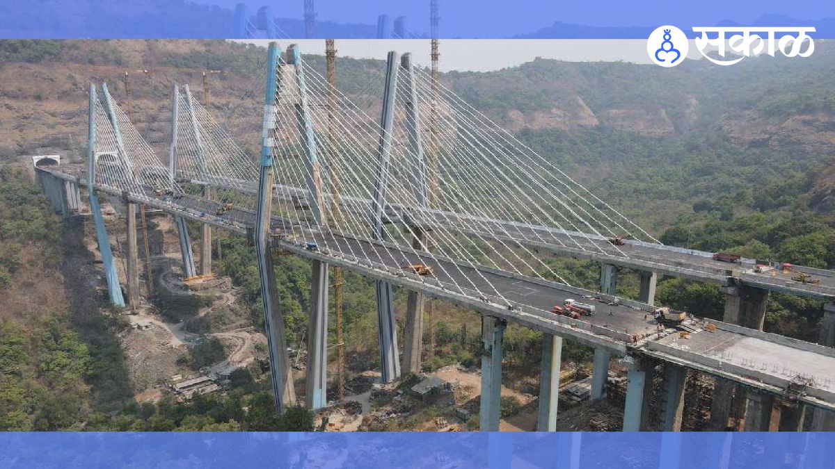 Missing Link Project