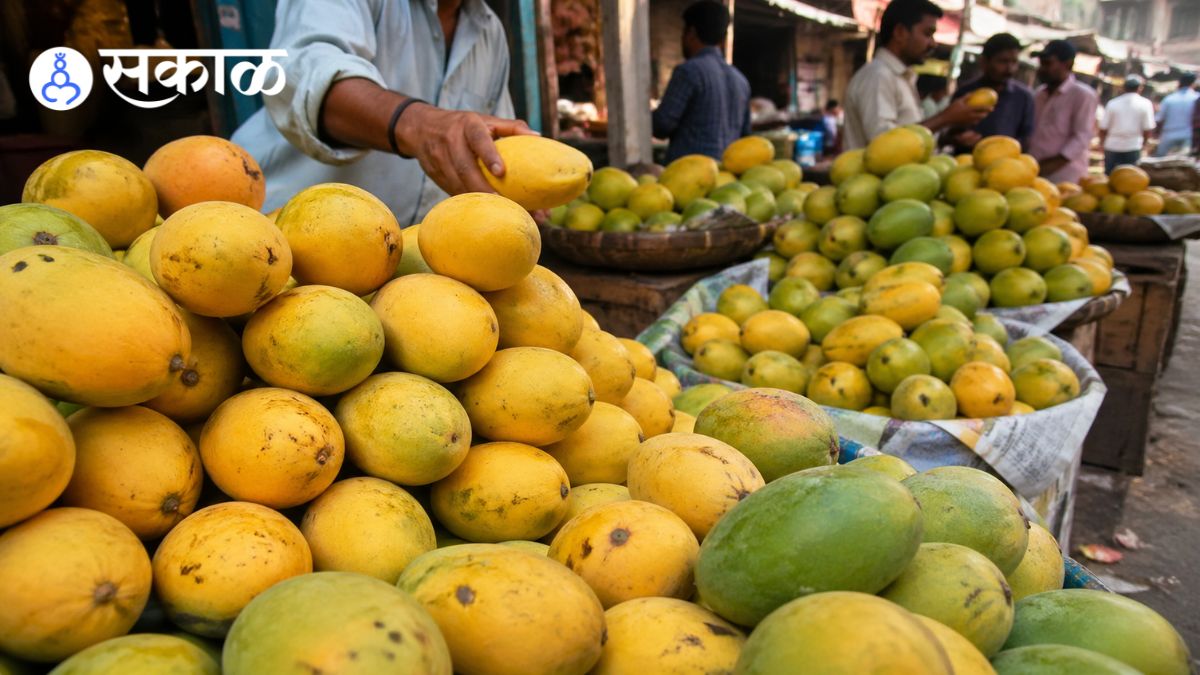 Are fake Alphonso mangoes being sold in markets?