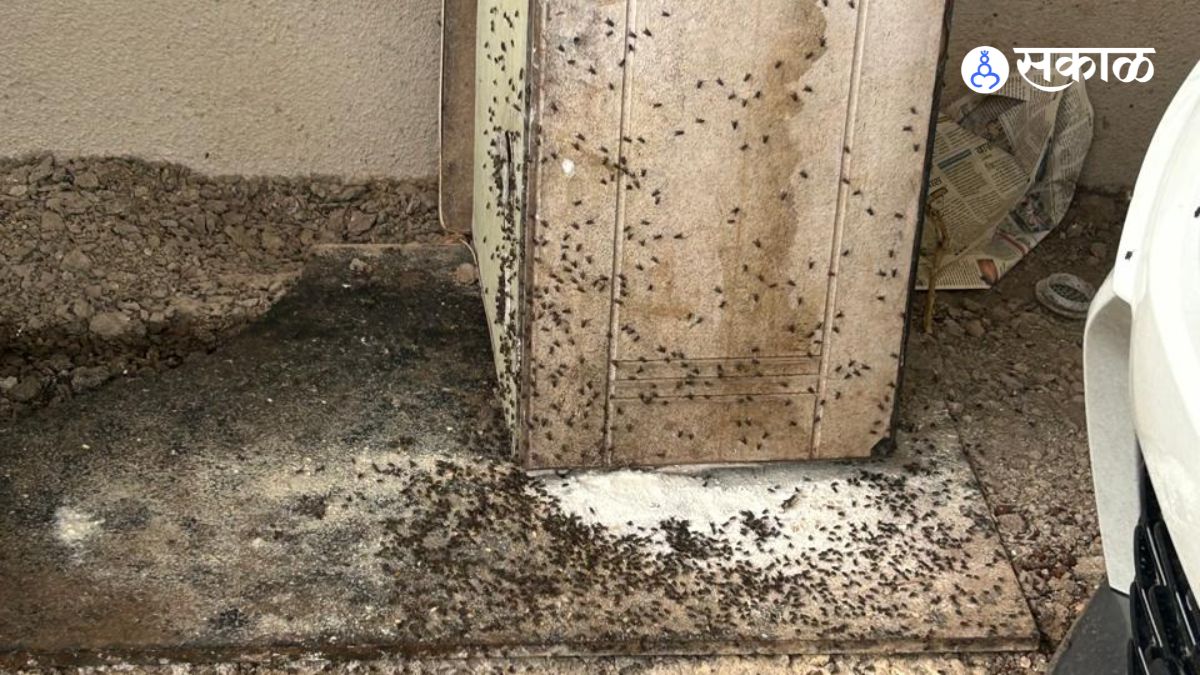 Health Risks from Residential Poultry Farms