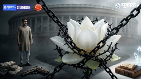 Political reforms and criminal politicians 