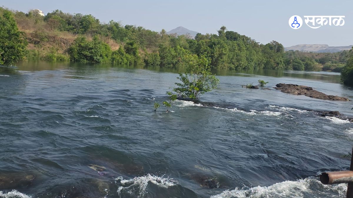 “Over 50% Storage in Bhama-Asakhed Dam; Third Irrigation Cycle Begins”