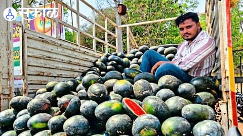 pydhonie family death watermelon cause