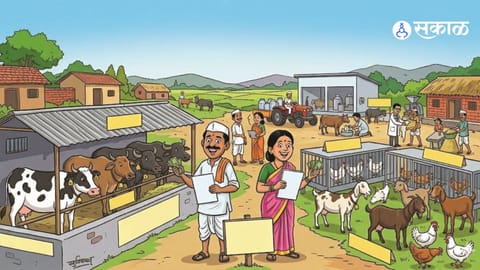 “From Farming to Business: Inside the Rural Livestock Entrepreneurship Initiative”