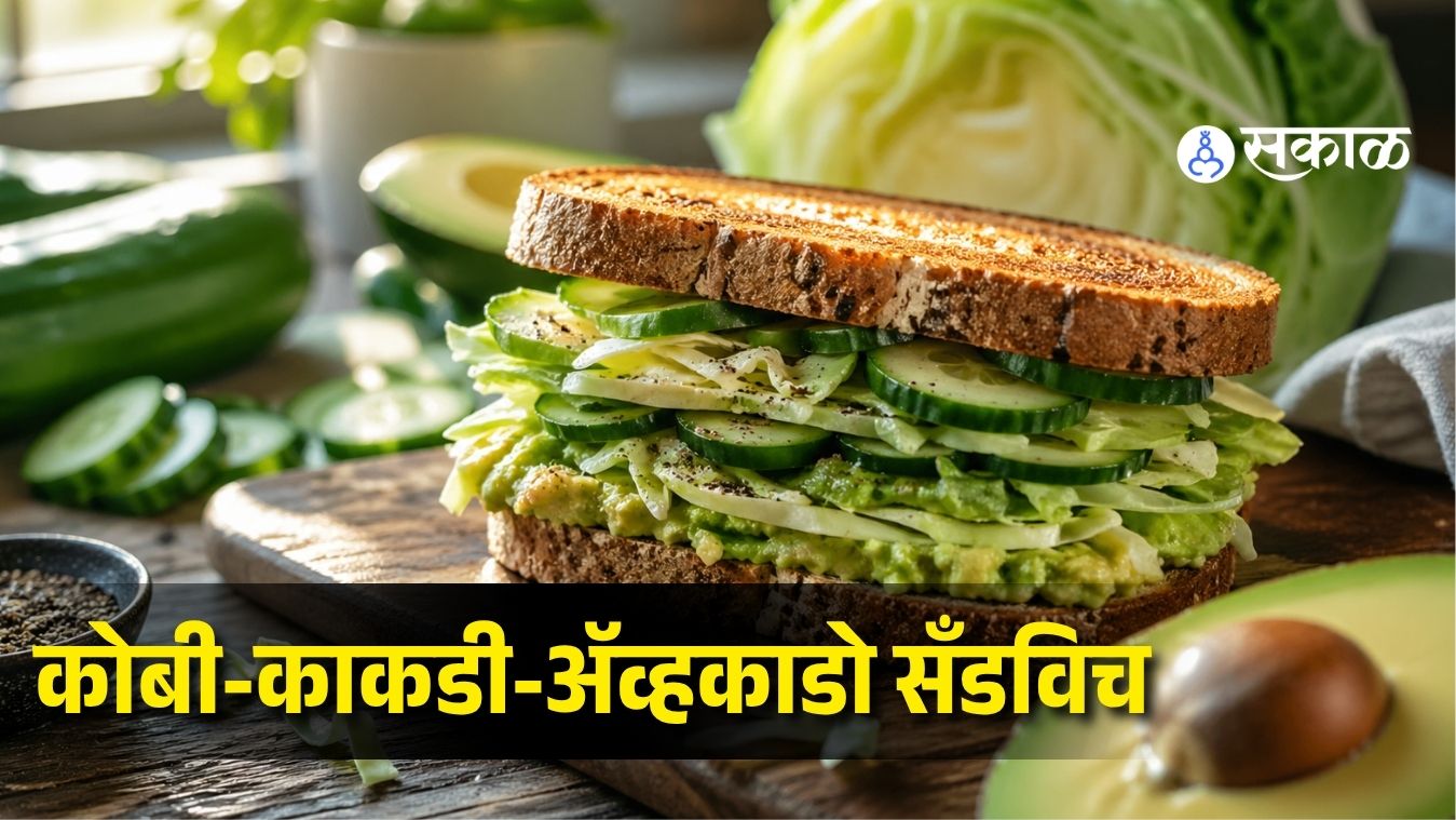 Cabbage Cucumber Avocado Sandwich