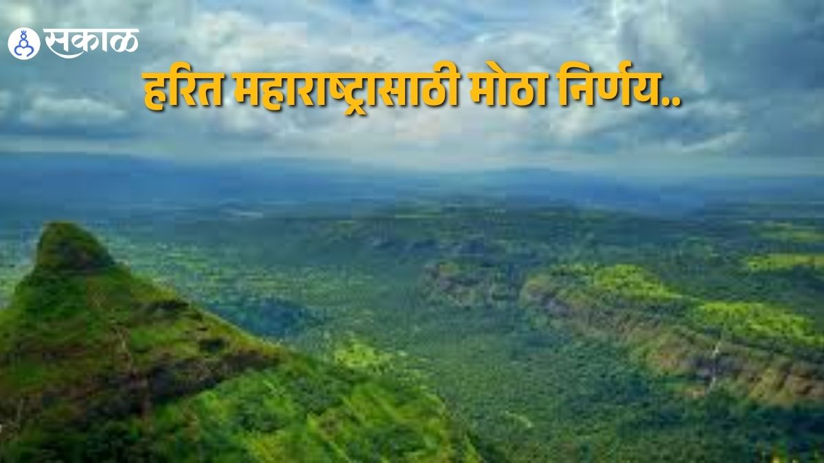 Ambitious Afforestation Plan in Maharashtra; Panel Formed as Tree Cutting Gets Easier