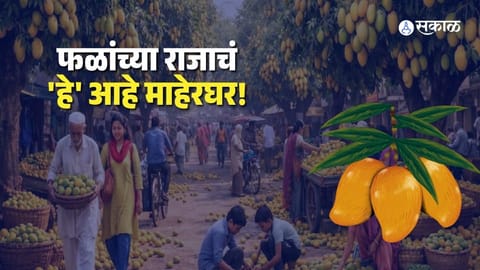 Mango City