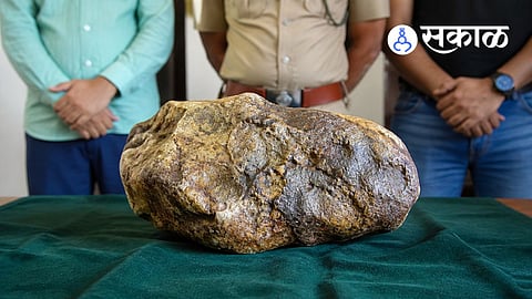 forest department ambergris raid