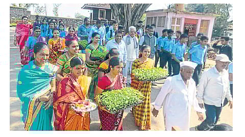  सेंद्रिय भाजीपाला