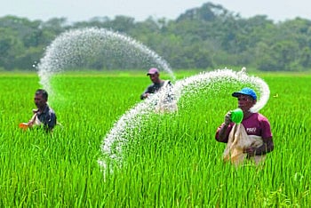 Alkaline soils due to overuse of chemical fertilizers blog pramod farande