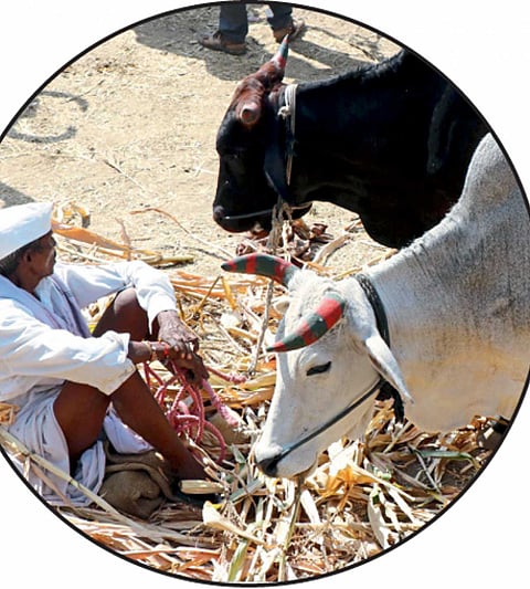Aurangabad news