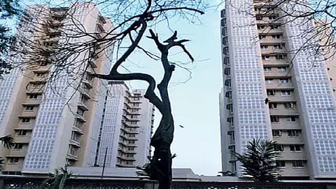 मनोरा आमदार निवासाचे काम सार्वजनिक बांधकाम विभागाकडे; फडणवीसांना ठाकरे सरकारचा पुन्हा दणका