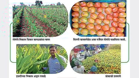 व्यासंगातून घडलेली बहुविध पिकांची शेती