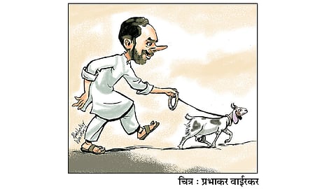 ढिंग टांग :  वापसी !