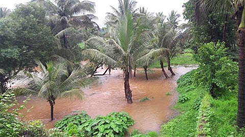 #KonkanRains वैभववाडी तालुक्याला झोडपले पावसाने 