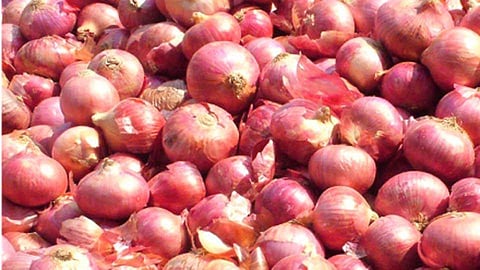 onion