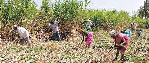 Corona News Aurangabad