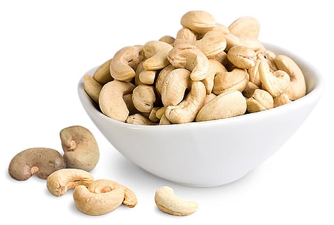 cashew issue konkan sindhudurg
