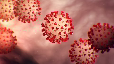 Seven suspects of Corona In Ratnagiri Marathi News