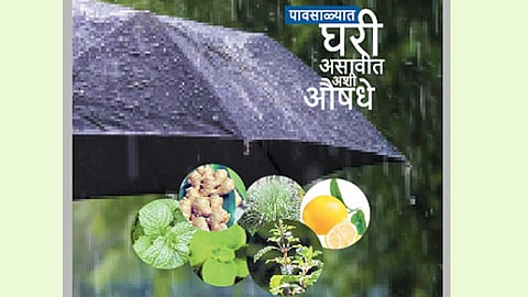 पावसाळ्यात घरी असावीत अशी औषधे