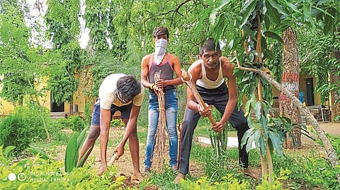 अचलेर : येथील विद्याविकास हायस्कूल शाळेच्या परिसराची स्वच्छता करताना क्वारंटाइन व्यक्ती. 