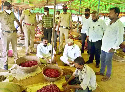  भिवापूर : मिरची कटाई केंद्रावर काम करणाऱ्या मजुरांच्या समस्या समजावून घेताना कृषिमंत्री भुसे व आमदार पारवे. 