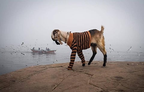 It was cold in Maharashtra in November