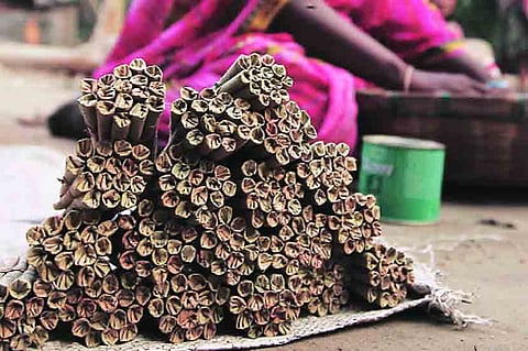 BREAKING....! सोलापुरातील विडी कारखाने सुरु होणार, पण.....