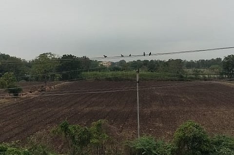 Coludy Climate In Marathwada.jpeg