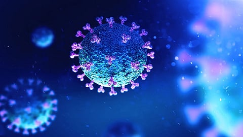 CoronaVirus Image
