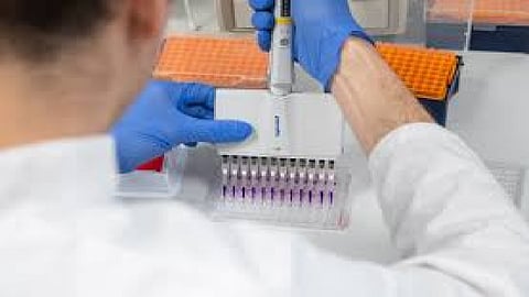 coronavirus, coronavirus burn naturally, Covid 19 vaccine,  scientist