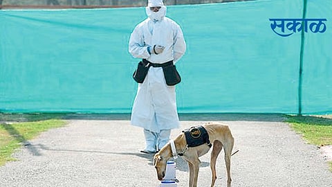 Indian Army in the first experiment