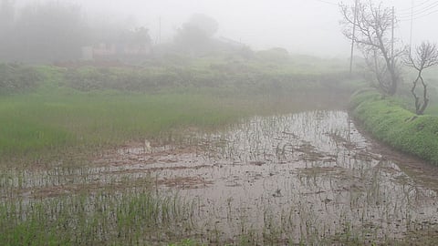 पावसाची रिपरिप थांबेना ; कास पठारासह डोंगरांमधील जनजीवन गेले गारटून 