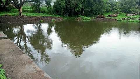 Villagers have demanded that the Irrigation Department should release drinking water to Godavari canal as soon as possible.