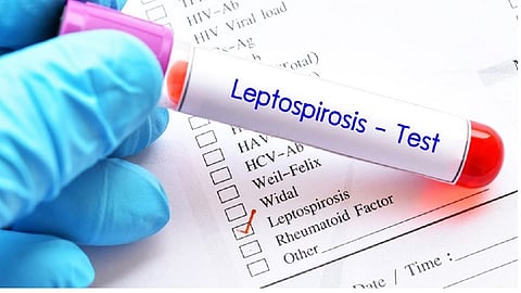 मुंबईत लेप्टोचा पहिला बळी, मलेरियासह लेप्टोची भीती