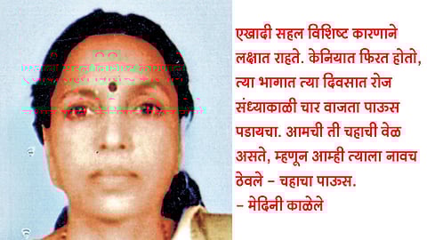 चहाचा पाऊस