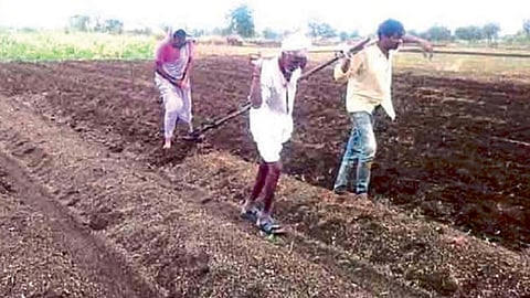हट्टा (ता. वसमत) औताला जुंपून पेरणी करताना शेतकरी नंदकुमार परडे व त्यांचा मुलगा जगदीश परडे.