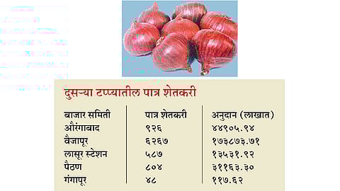 Onion