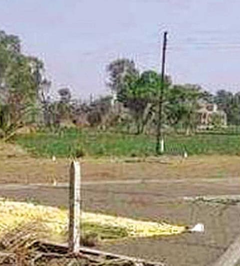 If land is taken without non-cultivation it will be fraud
