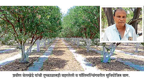 Pravin-Belkhede