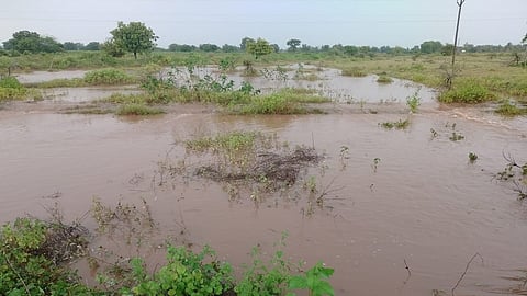 Rain In Lohgaon