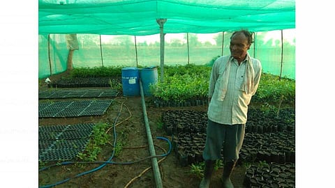 स्वखर्चाने सोप्या पद्धतीने शेडनेट तयार करून त्यात रोपे निर्मिती केली जात आहे.