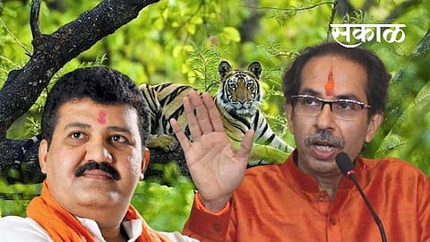 Akola News Sanjay Rathore resignation Sanjay Raimulkar and Gopikishan Bajoria  discussed of Minister.