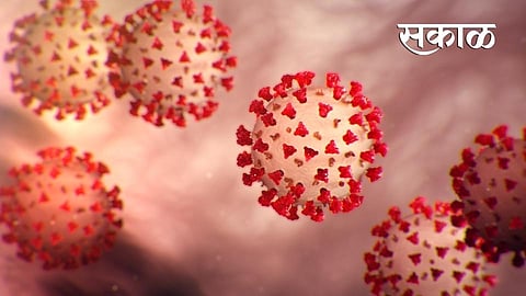 Four more corona patients in Sindhudurg district