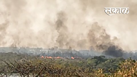 Fire in Ambazari Biodiversity Park in Nagpur Latest News  