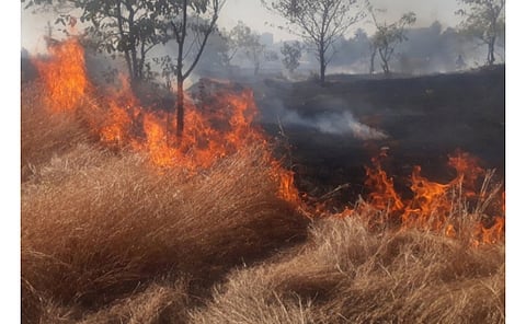 Smruti Van Udyan.jpeg