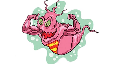 Superbug