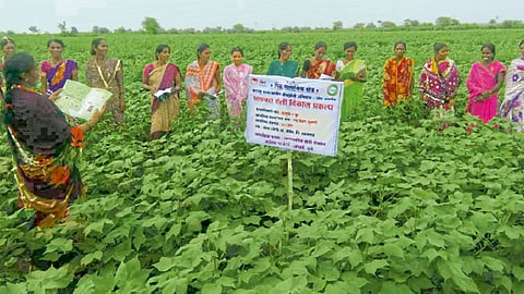 वाटचाल शाश्‍वत विकासाच्या कार्याची
