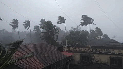 Three killed in nature cyclone in pune district
